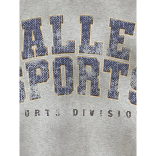 Vale Forever Valley Sports T-Shirt Grey